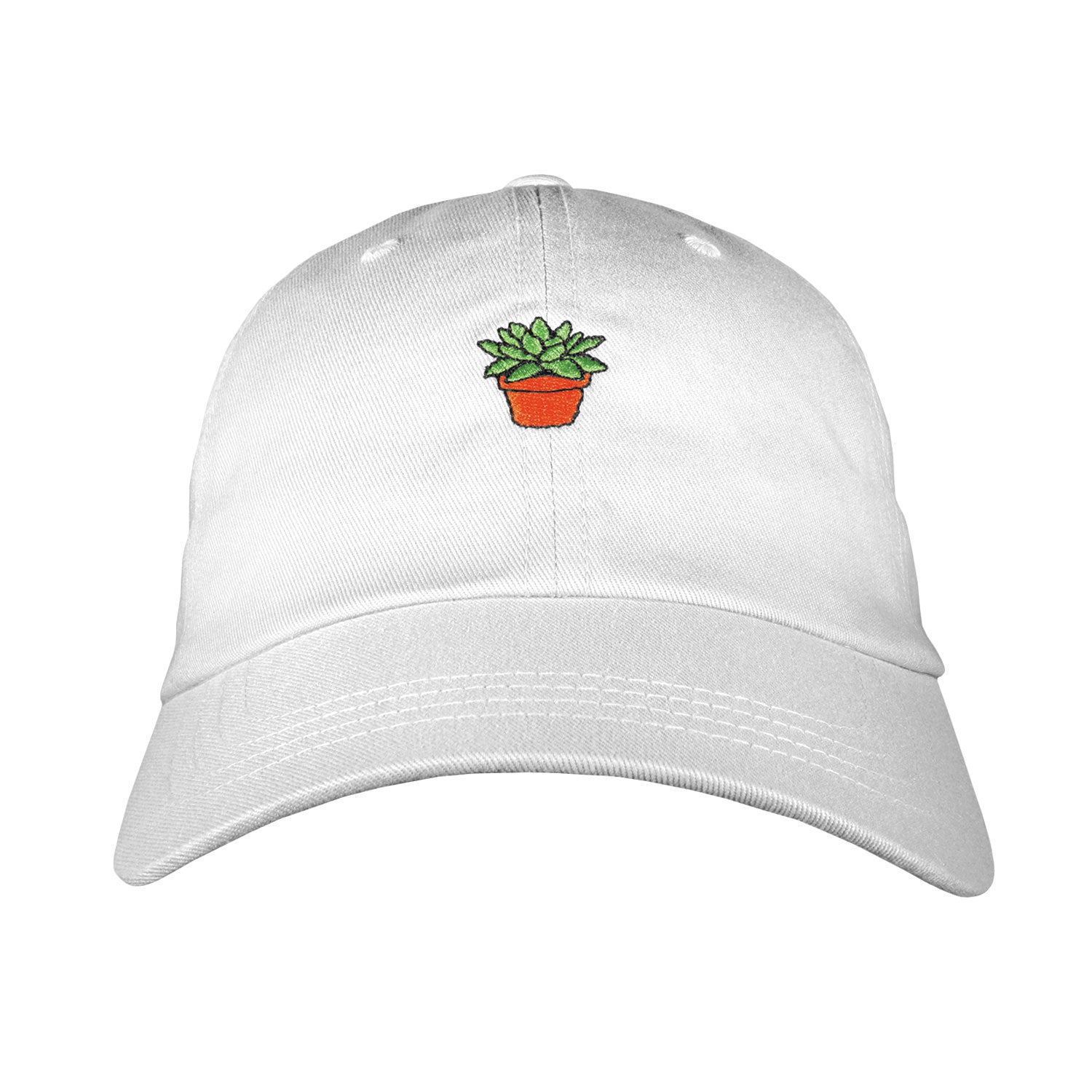 Succulent Dad Hat